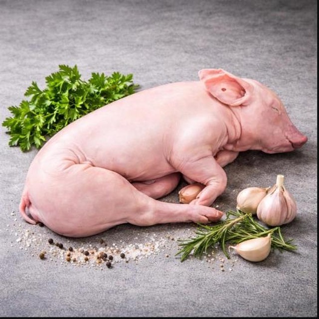 Cochinillo